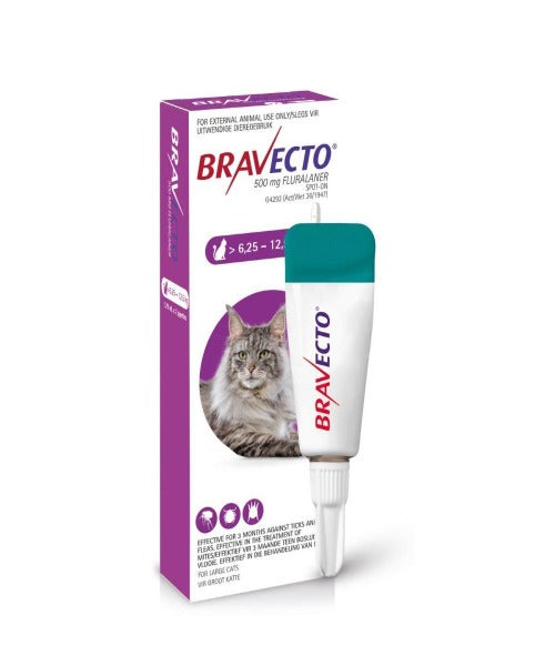 Bravecto Spot On Tick & Flea Treatment for Large Cats 500MG (6.25 - 12.5KG)