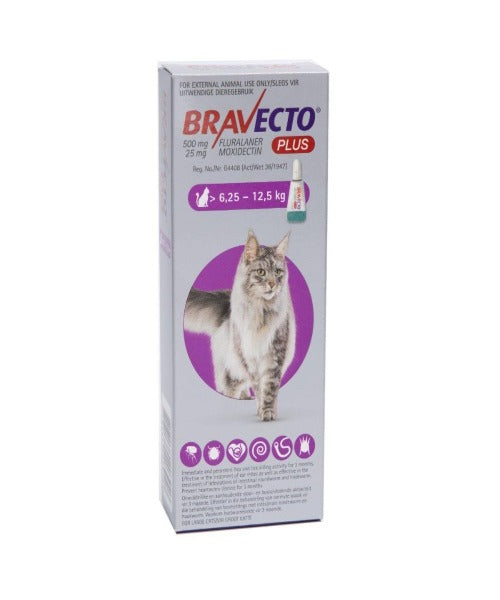 BRAVECTO® PLUS On Tick & Flea Treatment for Large Cats (>6.25-12.5KG)
