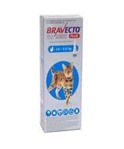BRAVECTO® PLUS On Tick & Flea Treatment for Medium Cats (>2.8 - 6.25KG)