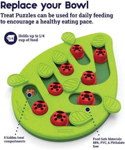 Nina Ottosson Cat Puzzle 'n Play Buggin Out Cat Toy
