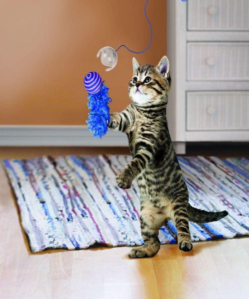 KONG Fishing Pole Cat Teaser Toy, available in Purple, Green or Grey Balls - Pet Mall