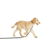 Company of Animals Lightweight Recall Line 5m Dog Leash