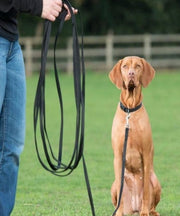 Company of Animals Training Recall Line Dog Leash