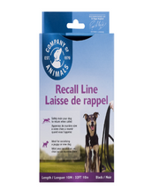 Company of Animals Training Recall Line Dog Leash