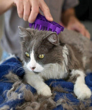 KONG ZoomGroom Cat Grooming Tool - Pet Mall