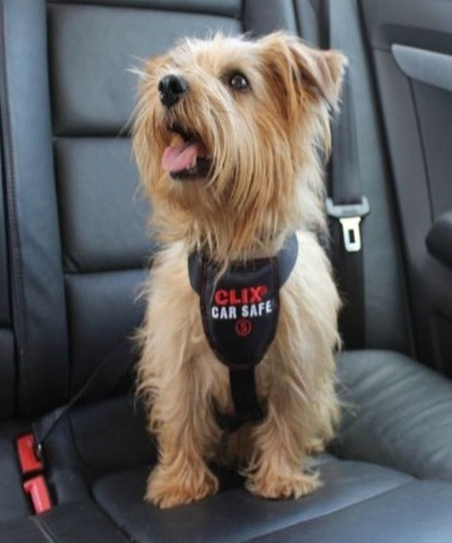 Clix CarSafe Safety Harness for Dogs The Pet & Tack Shop