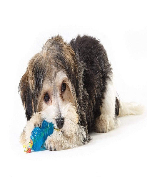 Petstages ORKA Chew Pair Petite Dog Toy - Pet Mall