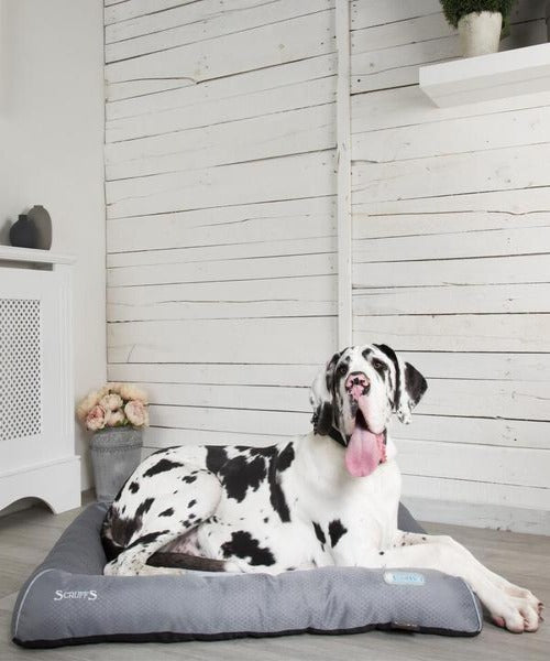 Scruffs Cool Dog Bed - Pet Mall