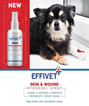 Effivet Skin & Wound Pet Cleaner