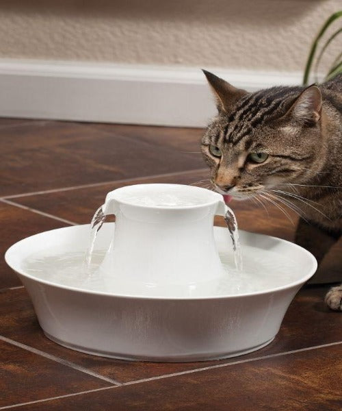 CERAMIC AVALON PET FOUNTAIN – The Pet Tack Shop