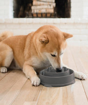 Outward Hound Fun Feeder Grey - Dogs