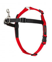 Halti Front Control Harness for Dogs