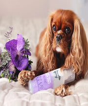 Hownd KEEP CALM NATURAL CONDITIONING SHAMPOO - Pet Mall