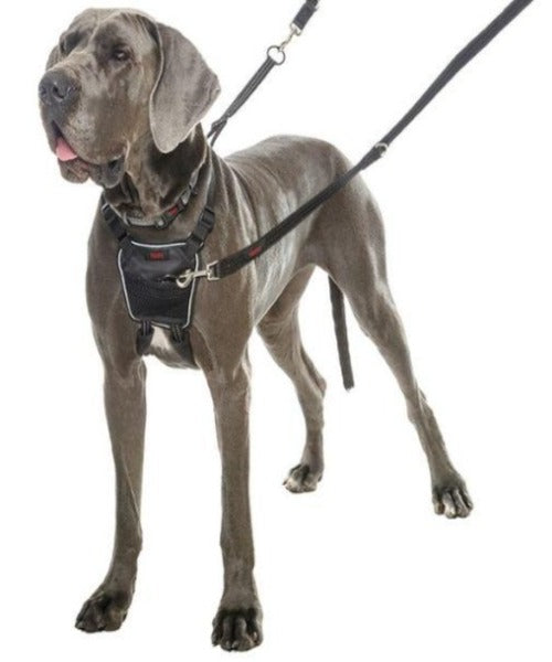 Halti No Pull Harness for Dogs
