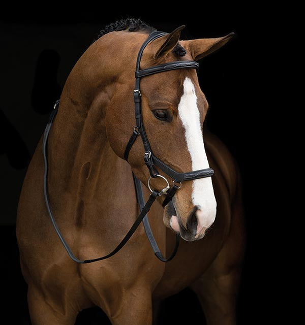 Horseware Competition Full Brown Deluxe Rambo Micklem Bridle