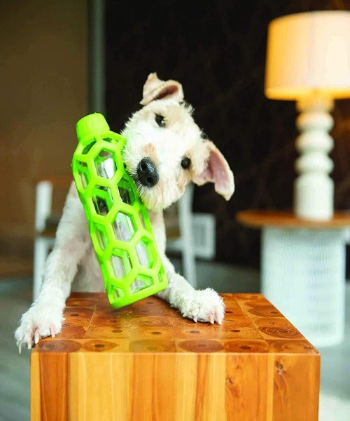 JW Hol-ee Bottle Dog Toy