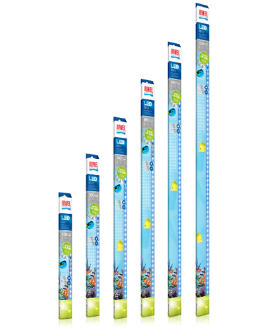 Juwel Blue LED Lighting for Aquariums