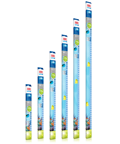 Juwel Blue LED Lighting for Aquariums