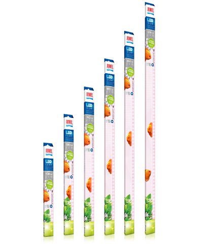 Juwel LED Colour Lighting for Aquariums