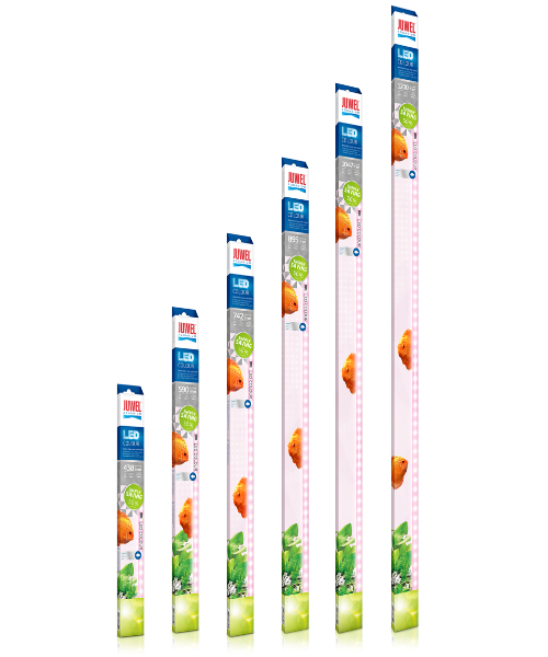 Juwel LED Colour Lighting for Aquariums