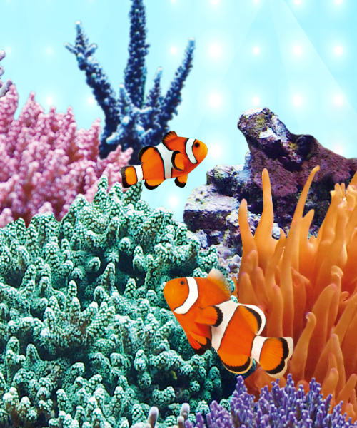 Juwel LED Marine Lighting for Aquariums