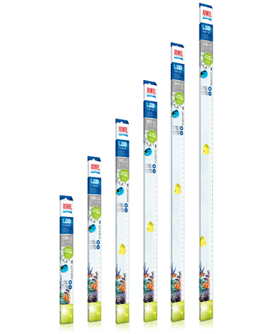 Juwel LED Marine Lighting for Aquariums