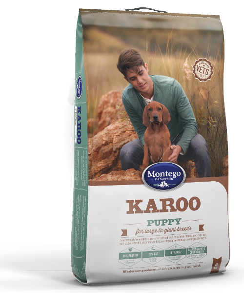Montego sales karoo puppy