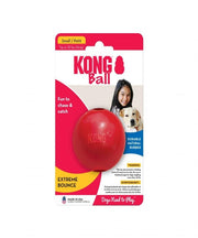 KONG Ball with Hole Dog Toy - Pet Mall