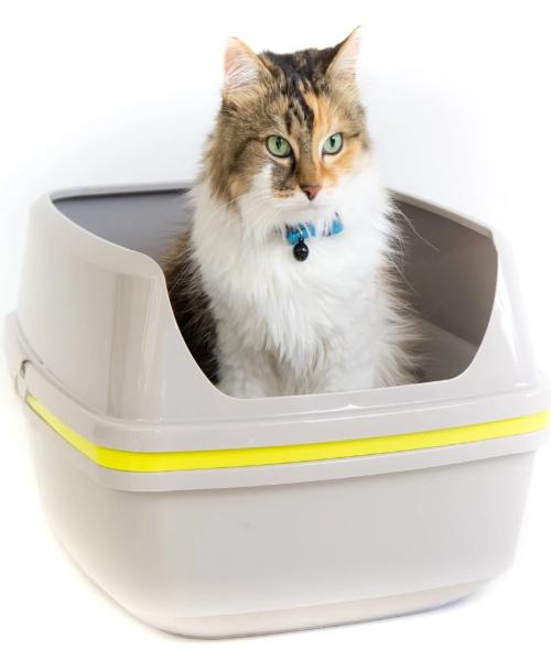 Moderna Lift to Sift Cat Litter Box - Pet Mall