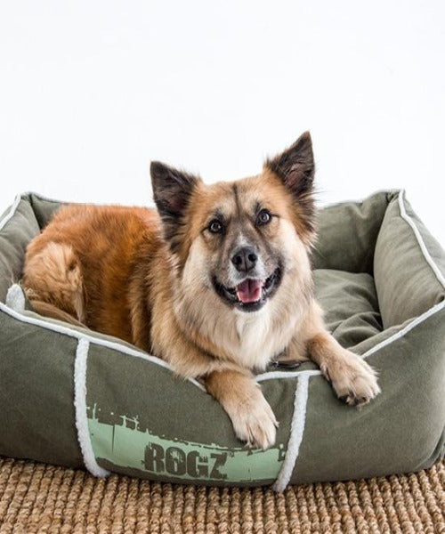 Rogz Lounge 3D Pod  Small Dog Bed - Pet Mall