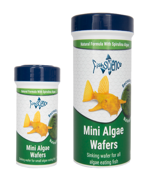 FishScience Mini Algae Wafers Fish Food