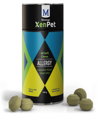 Montego XenPet Allergy Soft Chews Dog Supplements 240g