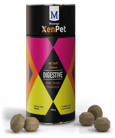 Montego XenPet Digestive Soft Chews Dog Supplements 240g