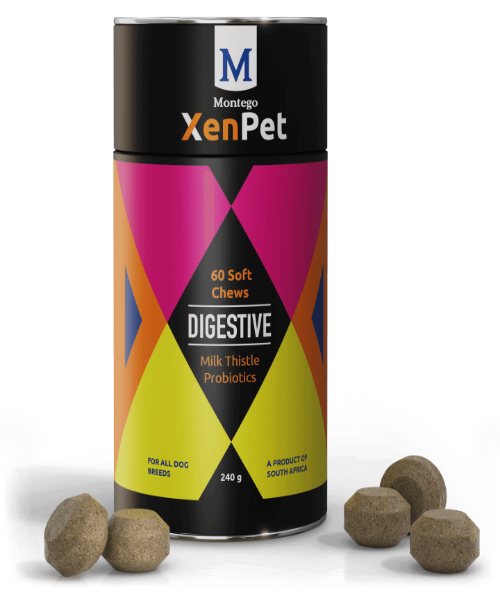 Montego XenPet Digestive Soft Chews Dog Supplements 240g