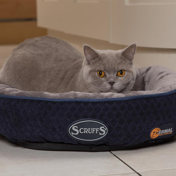 Scruffs Tramps Thermal Ring Cat Bed - Pet Mall