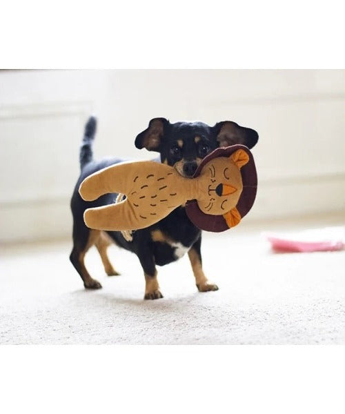 Outward Huond ECO Friendly Dog Toy
