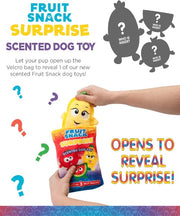 Outward Hound Fruit Snack Assorted Dog Toy