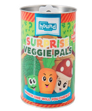 Outward Hound Surprise Veggie Pals Assorted Dog Toy