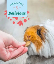 Oxbow Natural Science Joint Support Small Pet Treats 120g