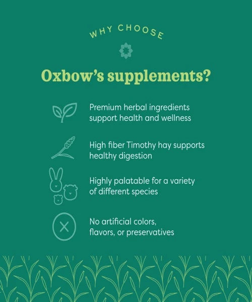 Oxbow Natural Science Joint Support Small Pet Treats 120g