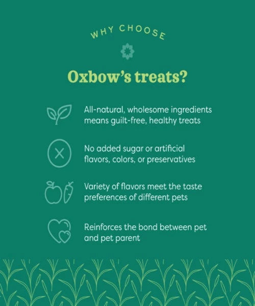 Oxbow Simple Rewards Banana Pet Treats