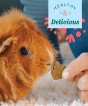 Oxbow Simple Rewards Baked Veggie Pet Treats for Small Pets