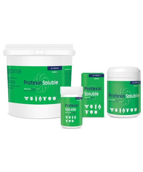 KYRON PROTEXIN SOLUBLE - PROBIOTIC POWDER - Pet Mall