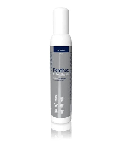 Panthox D-Panthenol Wound Spray Clear 200ML