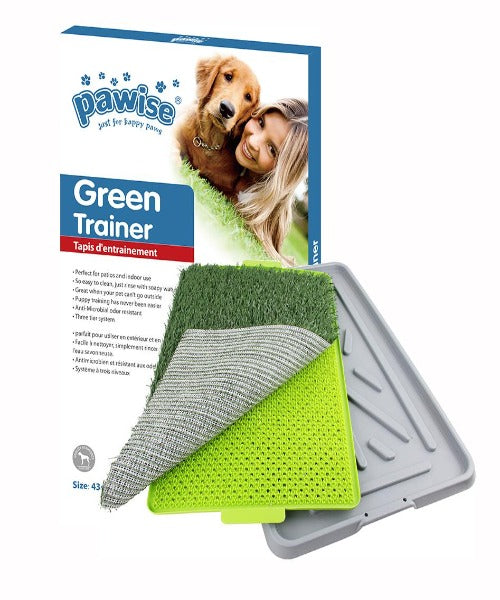 Pawise Green Grass Mat Puppy Tray Trainer Set