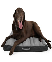 Ruffwear Restcycle™ Dog Bed