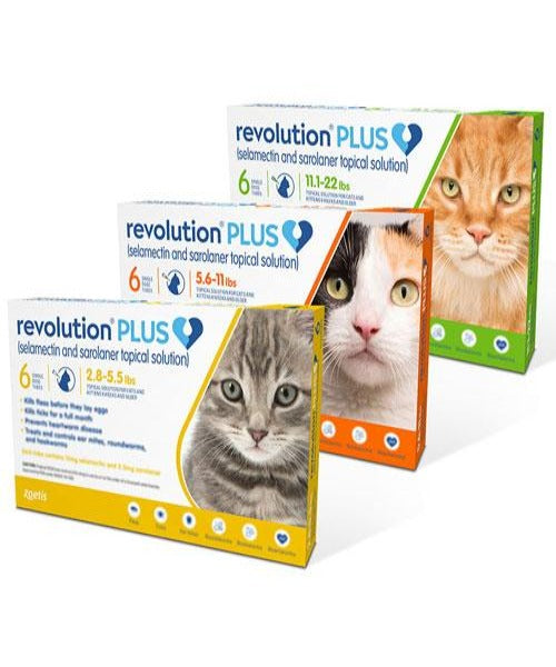 Revolution Plus Cat Tick, Flea and Worm Spot-On Treatment - Green - 5kg-10kg Pack of 3's