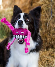 Rogz Flossy Grinz Oral Care Dog Toy