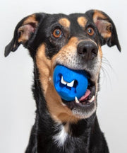 Rogz Fred Treat Ball Dog Toy