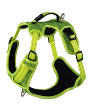 Rogz Explore Harness For Dogs